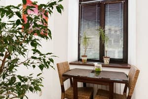 Квартира Home Hotel ул. Хорива, 15/8. Апартаменты двухместный  15