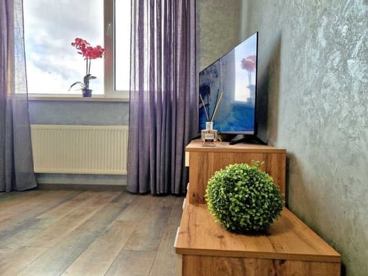 проспект Европейского Союза, 41 17